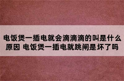 电饭煲一插电就会滴滴滴的叫是什么原因 电饭煲一插电就跳闸是坏了吗